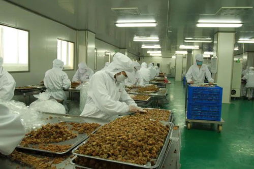太和農(nóng)產(chǎn)品加工產(chǎn)業(yè)園入選省行動計劃，聚焦食用農(nóng)產(chǎn)品初加工高質(zhì)量發(fā)展