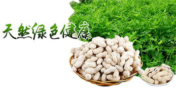 區塊鏈溯源 揭開有機農產品的偽裝術，重塑食用農產品批發新生態