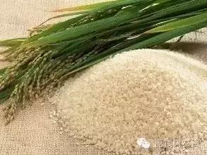 新規(guī)速遞 食用農(nóng)產(chǎn)品初加工環(huán)節(jié)迎來(lái)監(jiān)管新要求